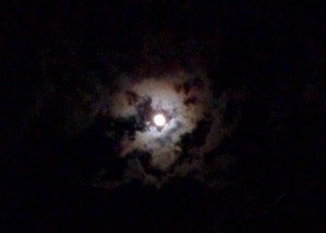 The moon in my back yard